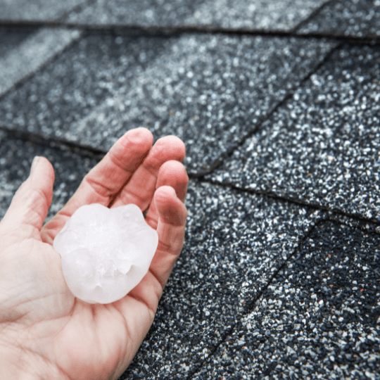 holding hail which caused damaged shingles on Austin home