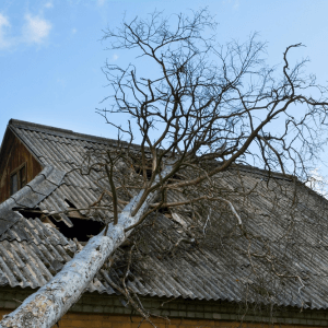 roof damaged by a fallen down tree- austin roof repair