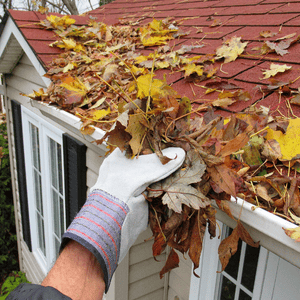 DIY roof maintenance tips clean gutters