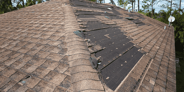 Missing Shingles Why They Fall Off And What You Should Do