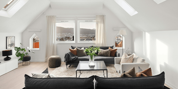 roof skylights