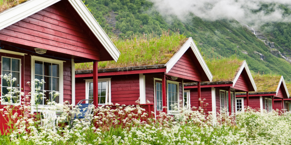 Green roofs