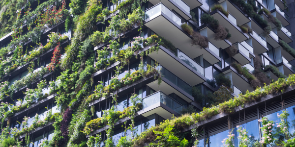 eco-friendly rooftop