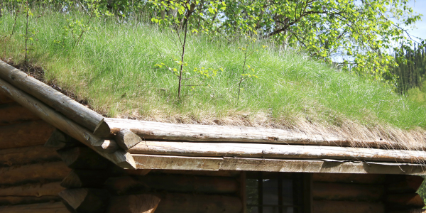 grass roof living roof